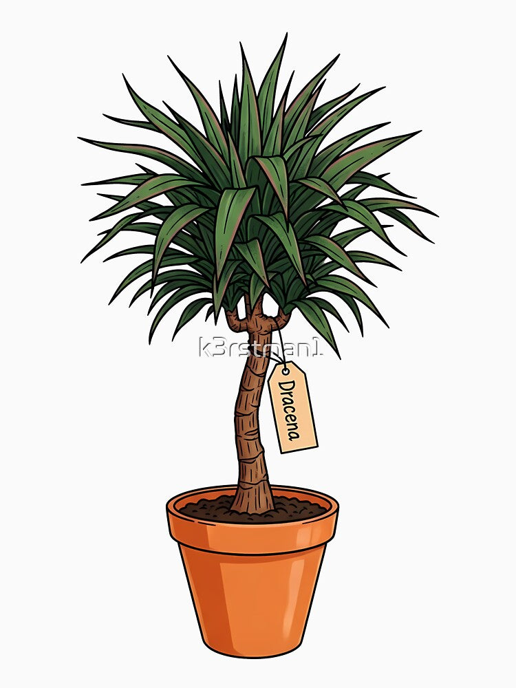 Dracena Potted Houseplant Aesthetic Botanical by k3rstman1