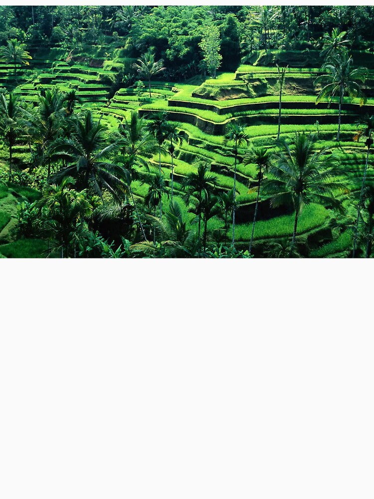 Ubud, Bali by scenerymerch