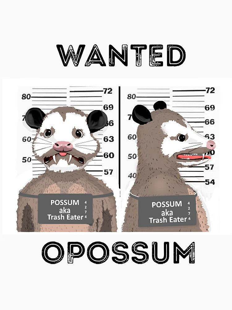 Opossum wanted by jaquelynco