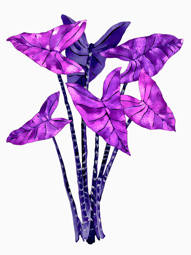 Alocasia Zebrina Purple by lqycnvzxyg3