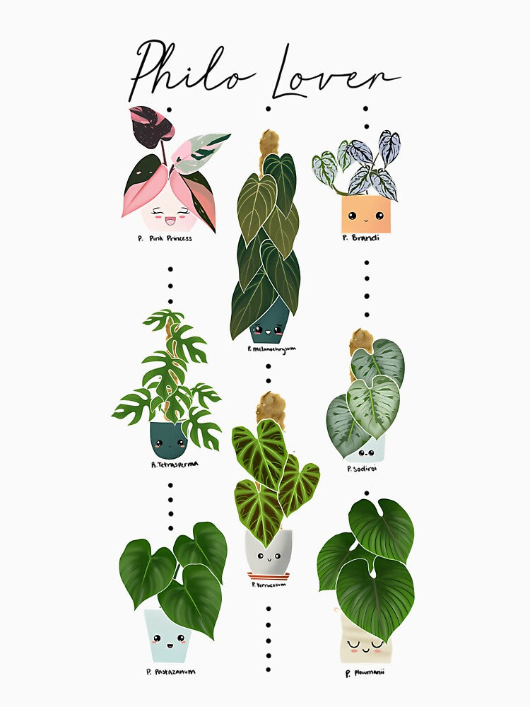Philodendron Lover Plants by iucrvgboh85