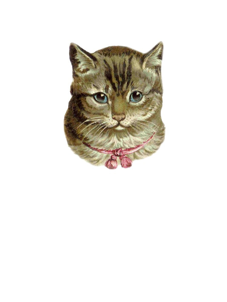coquette cat with bow by Pixiedrop