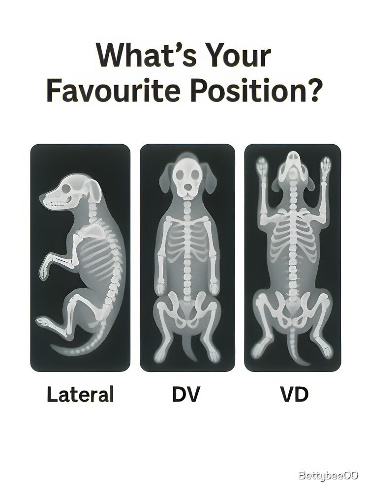 What’s Your Favourite Position? — Vet X-Ray Edition by Bettybee00