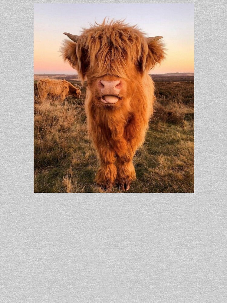 Scottish Highland Cow by Spring Things