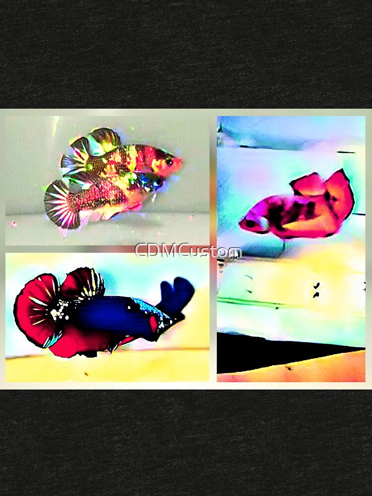 Betta Fish, The Best Fighting Fish Type In The World From Asia by CDMCustom
