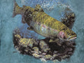 The Mountain Mens T-shirt Vintage Y2K Blue "Rainbow Trout" Leather Tag 2XL #6035