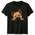 Cute Cairn Terrier Dog Peek A Boo Graphic T-Shirt