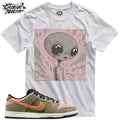 Shirt To Match Unisex Tee Sneaker Shirt Alien Shirt