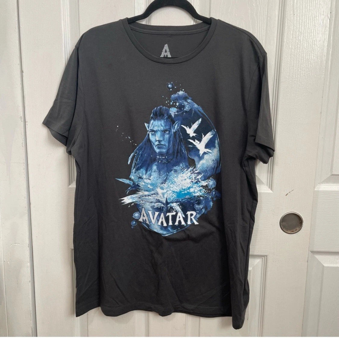 Avatar Graphic T-Shirt in Black and Blue Unisex Sz Extra Large, Avatar movie tee