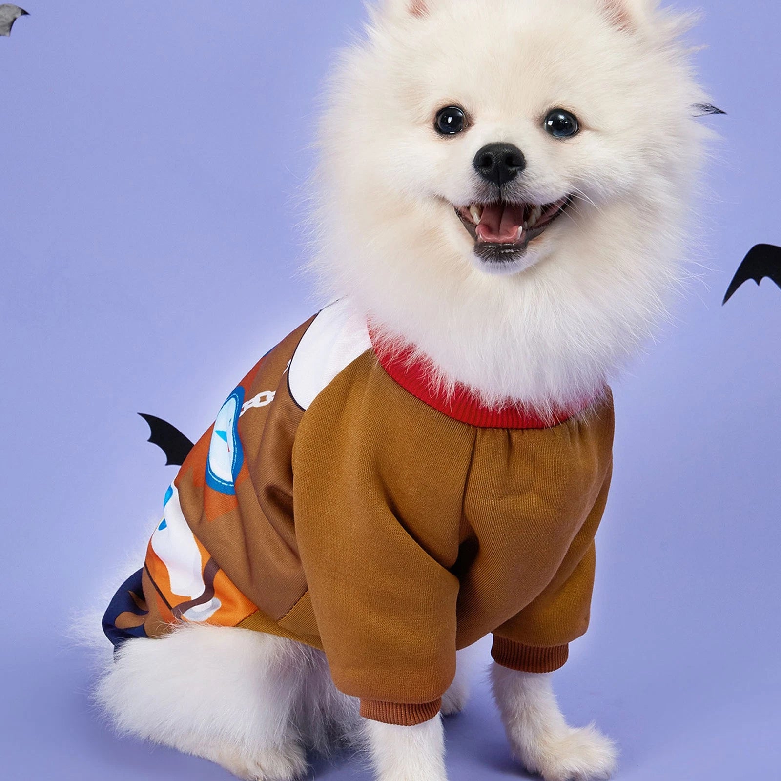 Halloween Dog T Shirt Fashionable Interesting Skull Pattern Puppy T Shirt For Pa