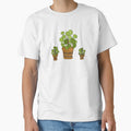 Pilea by lovethemplants