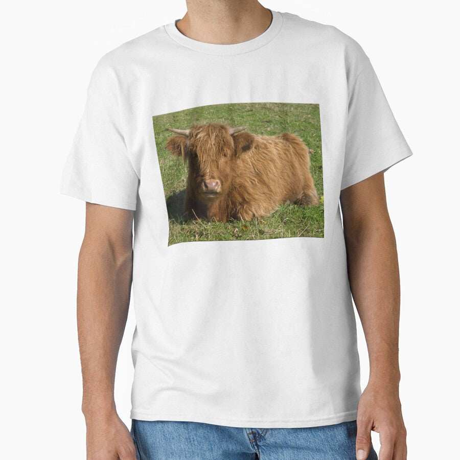 Highland cow by Stephen Jarman