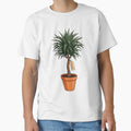 Dracena Potted Houseplant Aesthetic Botanical by k3rstman1