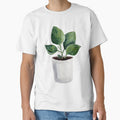 Potted House Plant - Watercolour Illustration by Pattokarts