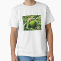Nestled Green Acorn by HeWritesWLight