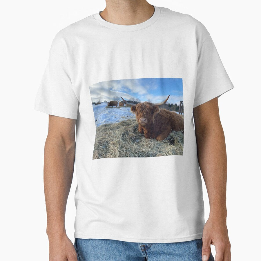 Scottish Highland Cattle Cow 3243 by SaarelaHighland