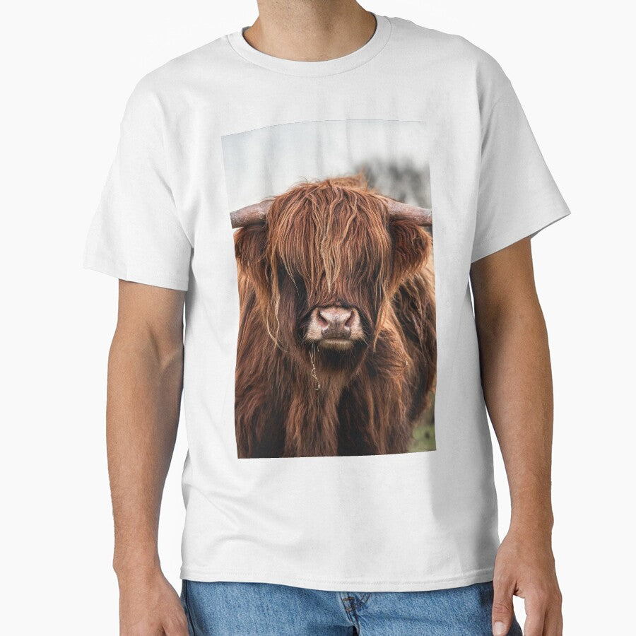 Highland Cow Portrait by Jay Mayne