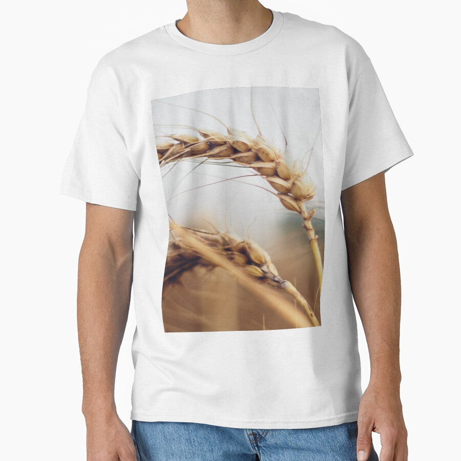 Amber Waves of Grain by Cool-Cat-POD