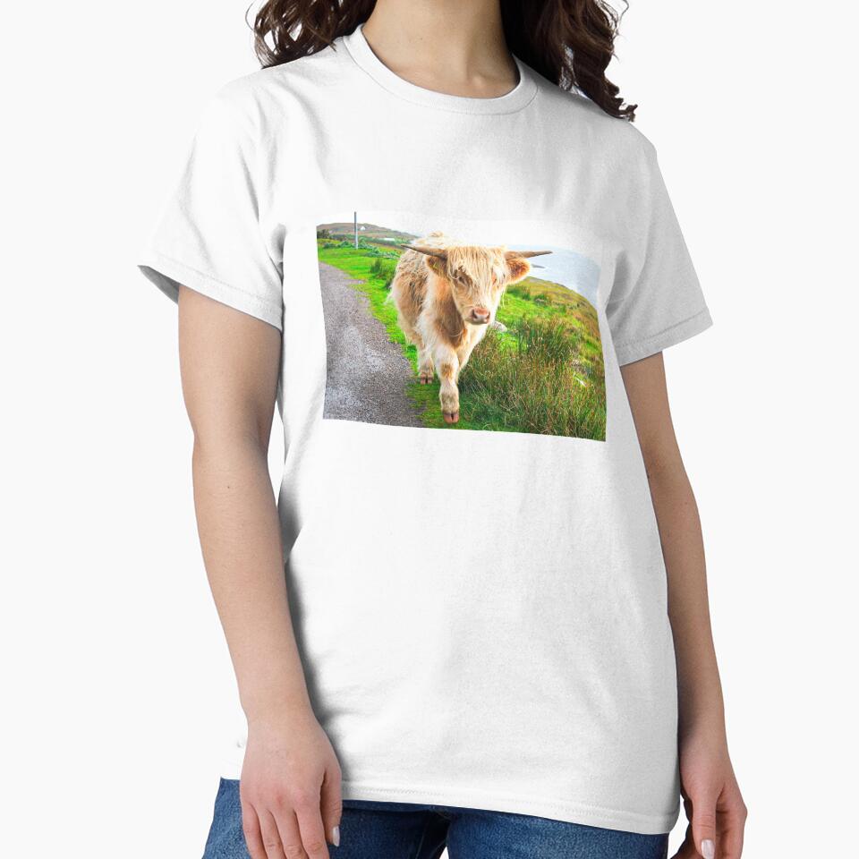 White Highland Cow by TheAnimalZ00