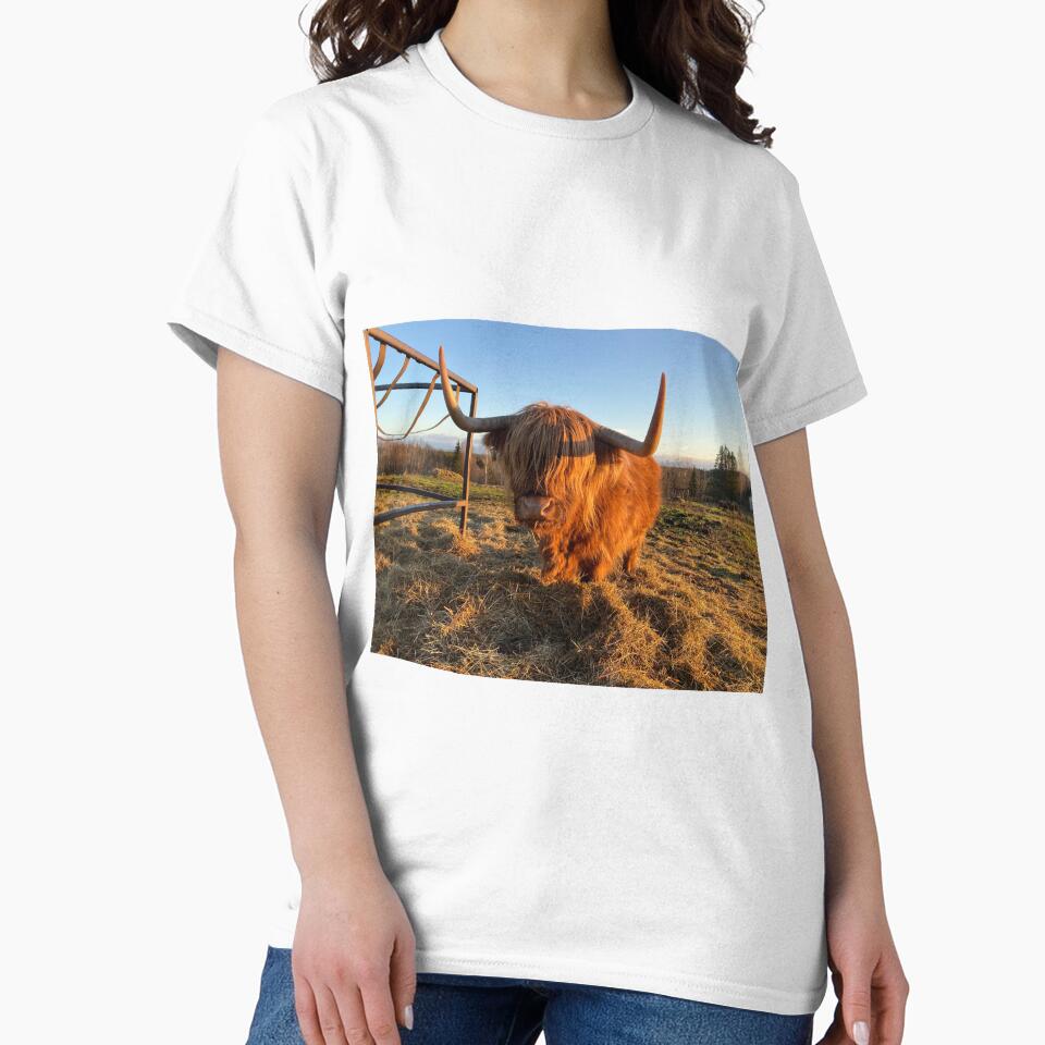 Scottish Highland Cattle Cow 3067 by SaarelaHighland