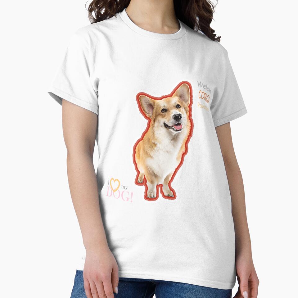 So cute welsh corgi by Ali K. Alobaidi