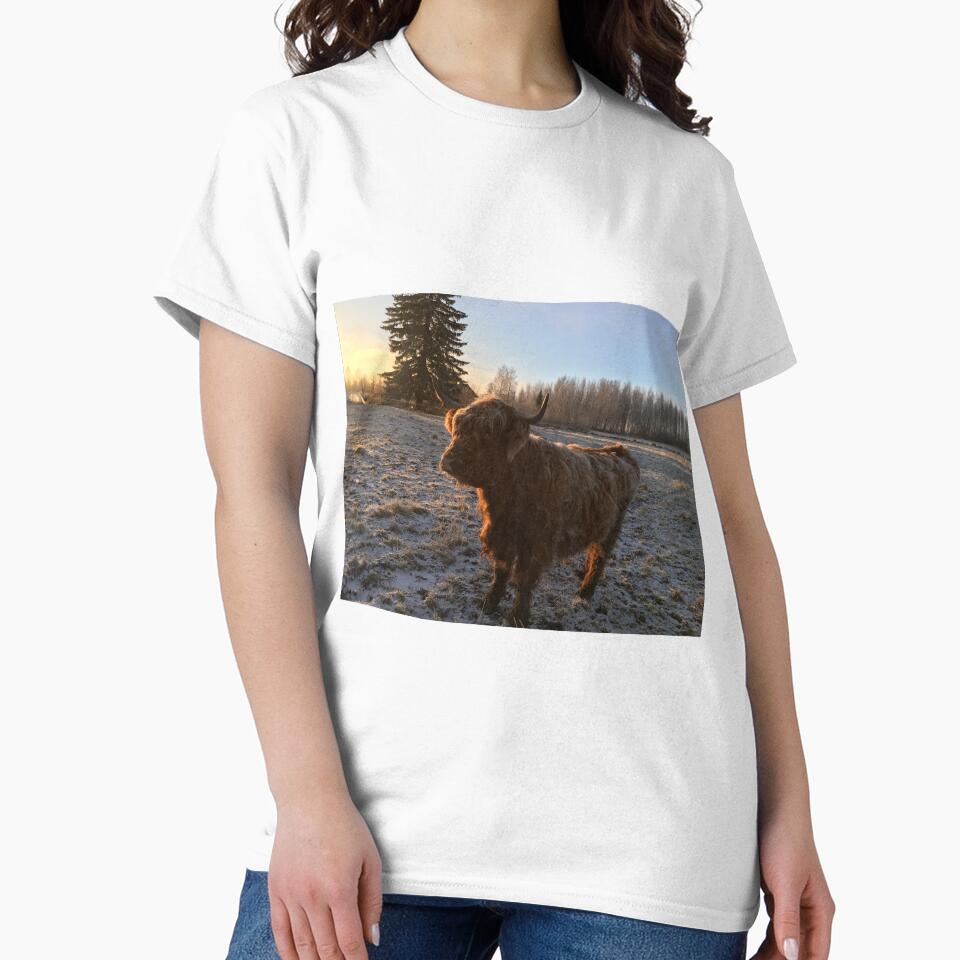 Scottish Highland Cattle Cow 1012 by SaarelaHighland