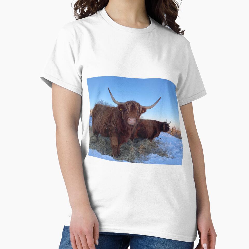 Scottish Highland Cattle Cows 3148 by SaarelaHighland