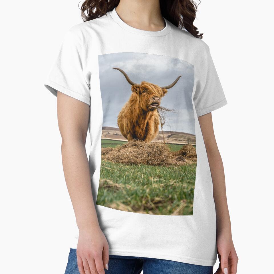 Highland Cow Dinner Surprise by Jay Mayne