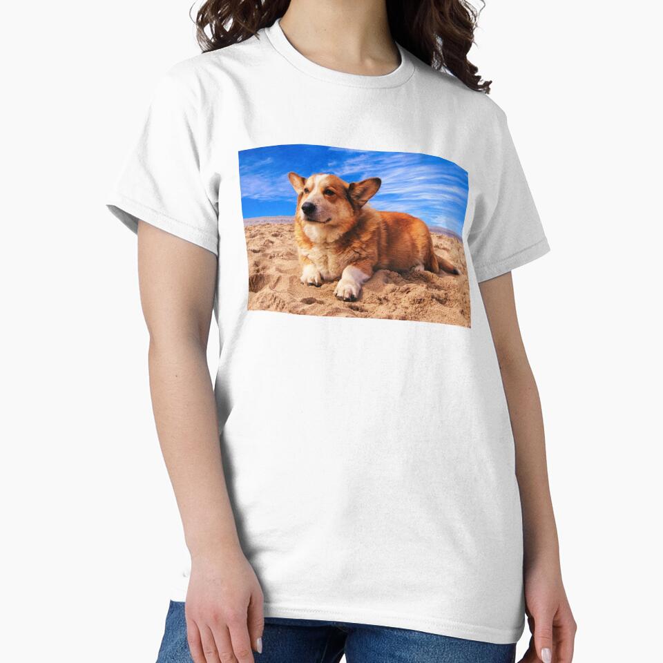 Corgi At The Beach by TheAnimalZ00