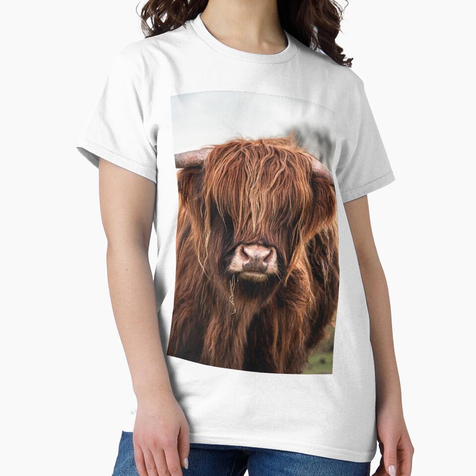 Highland Cow Portrait by Jay Mayne