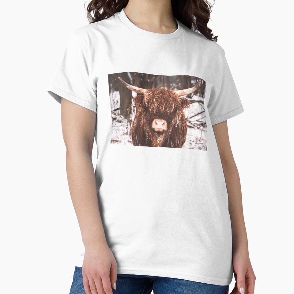 Snowy Scottish Highland Cow by TheAnimalZ00