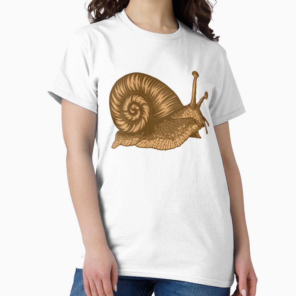 Brown Snail – Slow Progress, Real Growth by pyworks