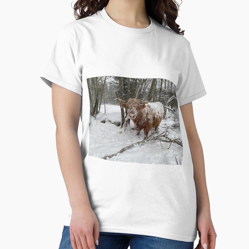 Scottish Highland Cattle Cow in snow 3090 by SaarelaHighland