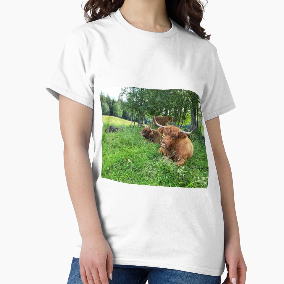 Scottish Highland Cattle Cows 2894 by SaarelaHighland