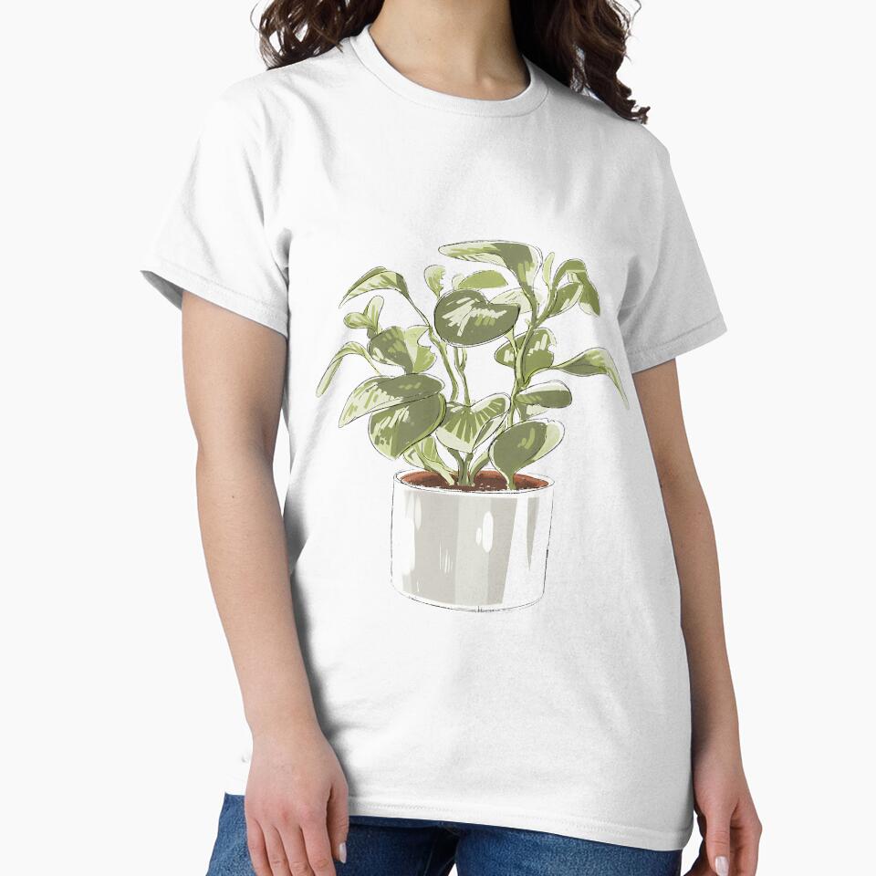 Potted Peperomia Plant by uyvcgmiqdyu38