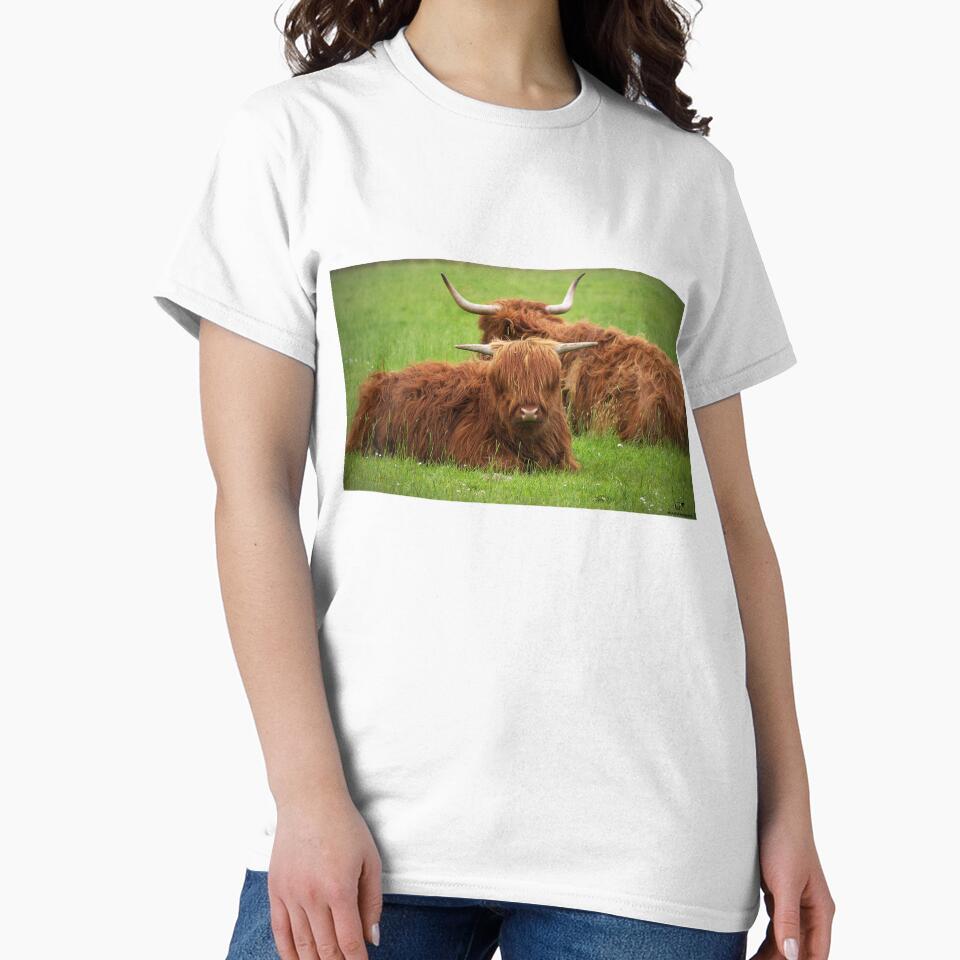 Highland Cows by Gelastic