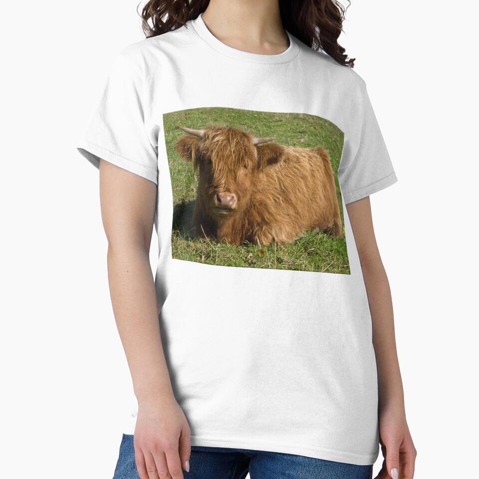 Highland cow by Stephen Jarman