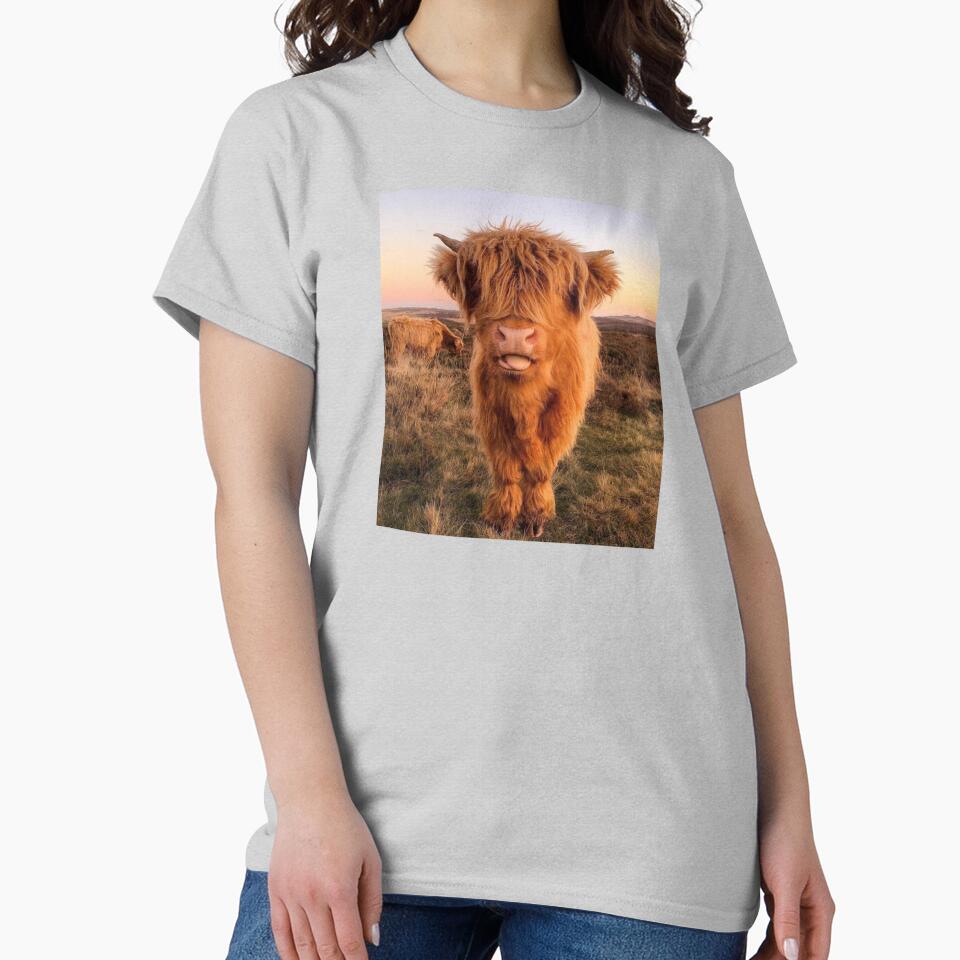 Scottish Highland Cow by Spring Things