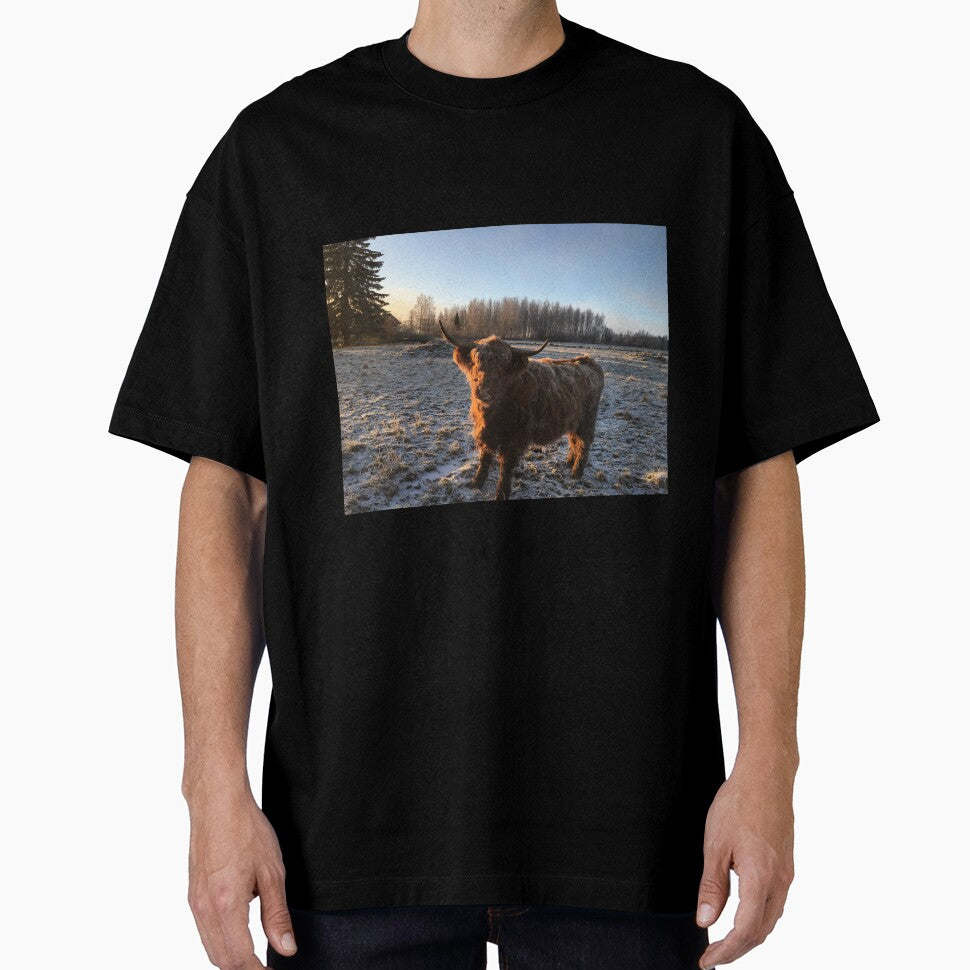 Scottish Highland Cattle Cow 1011 by SaarelaHighland