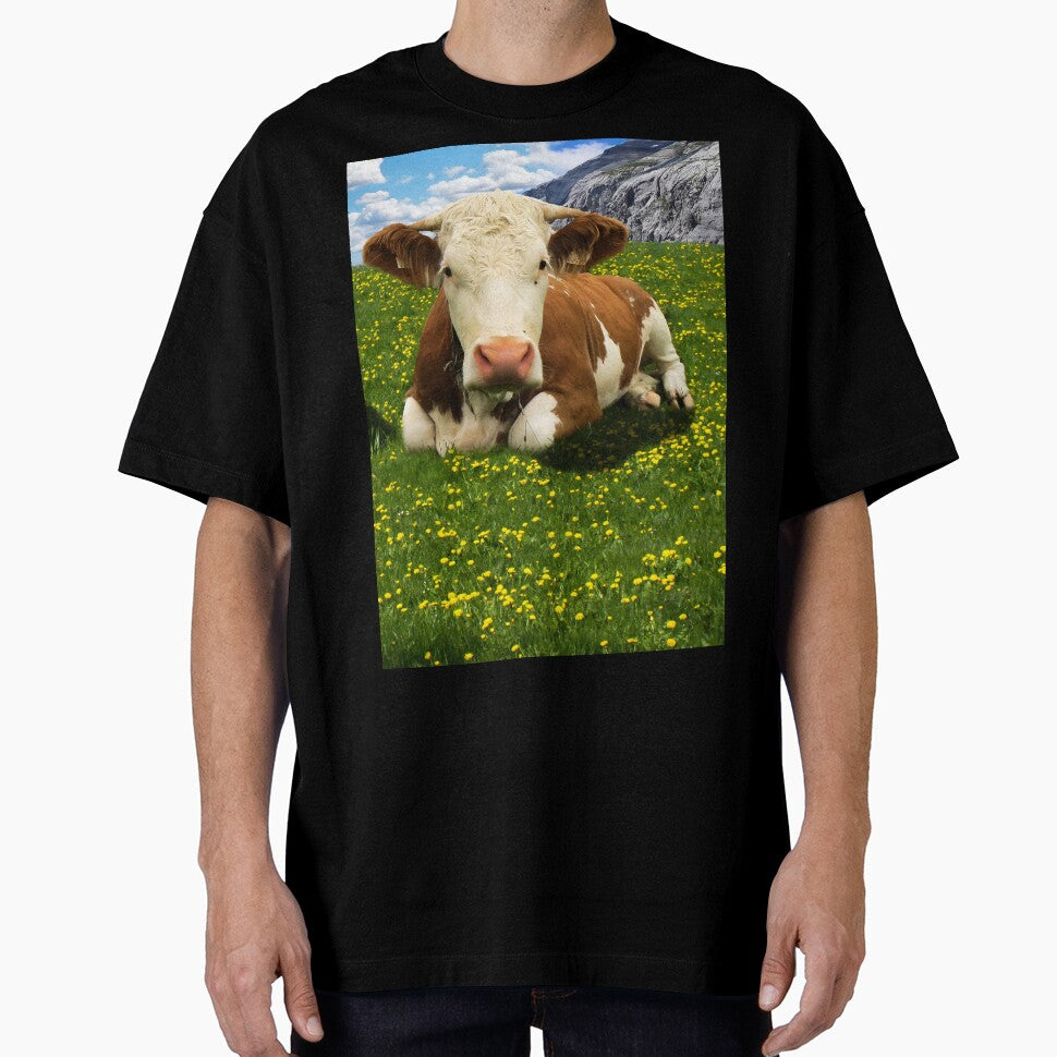 highland cow by animal-animal