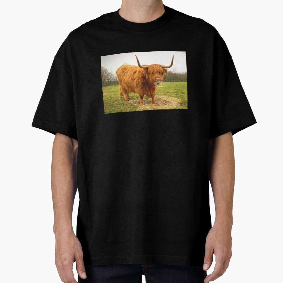 Scottish Highland Cow Picture by TheAnimalZ00