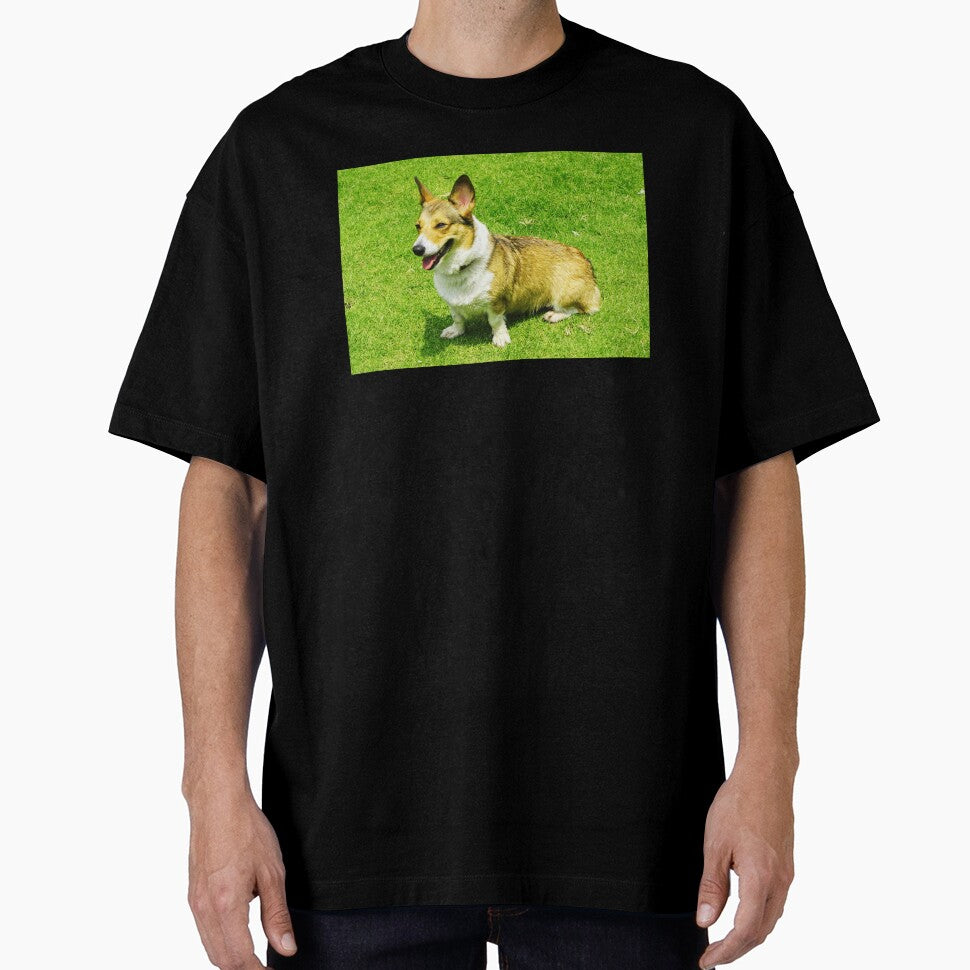 Cute Corgi Photo by TheAnimalZ00