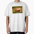 Highland Cow by TheAnimalZ00