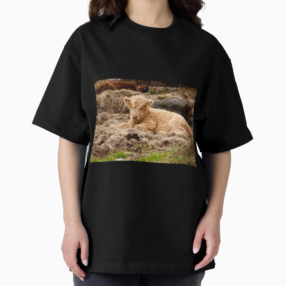 Highland Calf by LizzieMaher