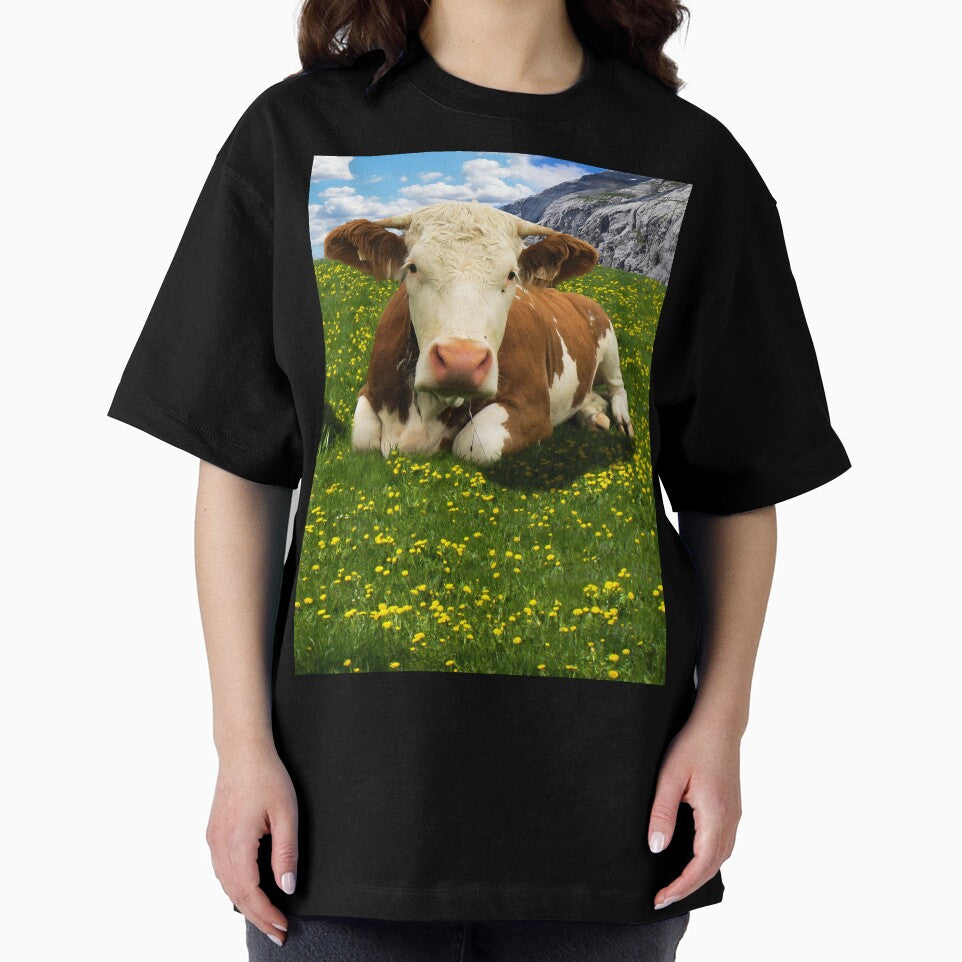 highland cow by animal-animal