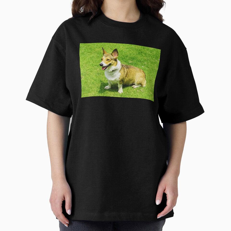 Cute Corgi Photo by TheAnimalZ00