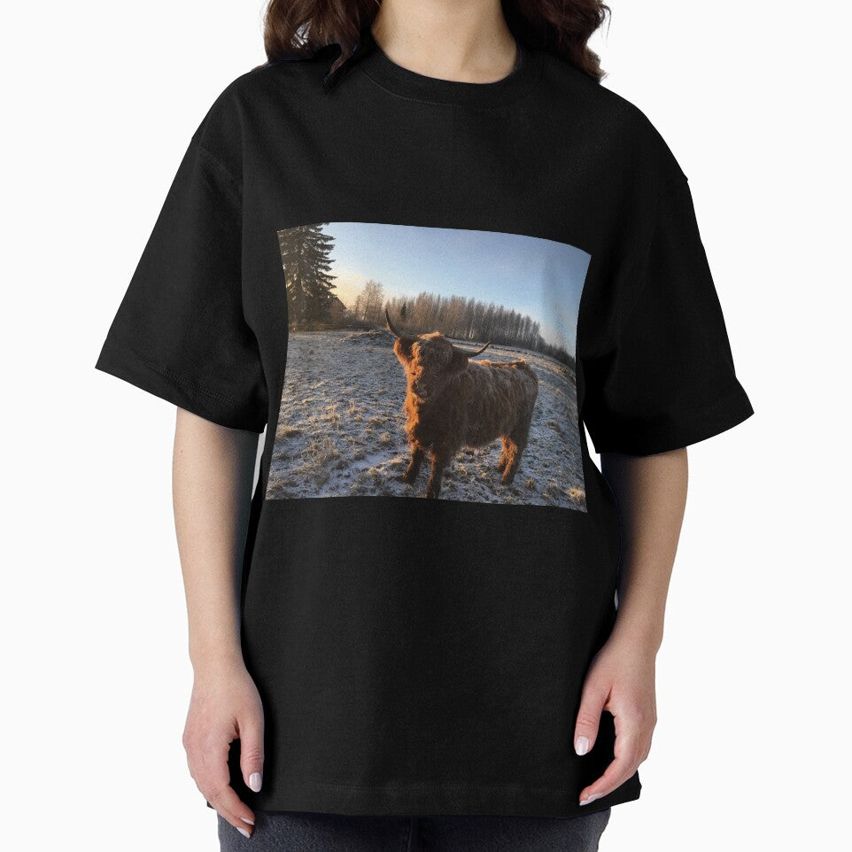 Scottish Highland Cattle Cow 1011 by SaarelaHighland