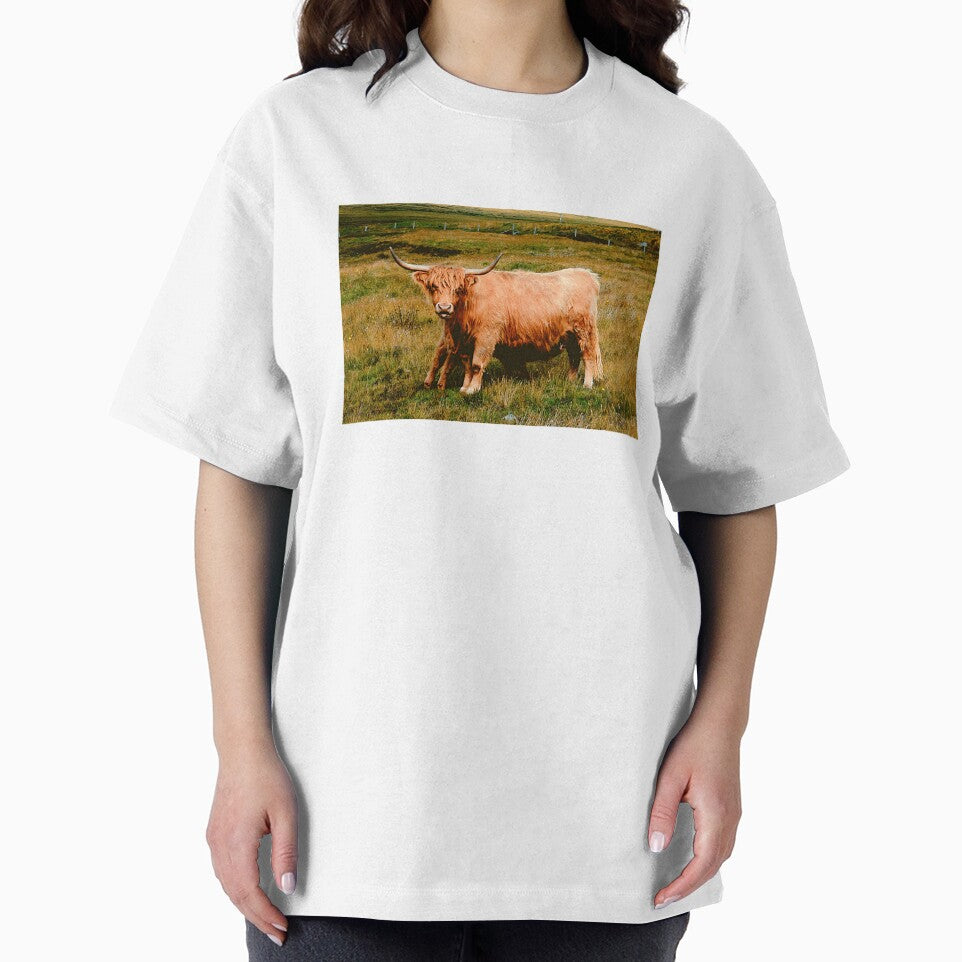 Highland Cow by TheAnimalZ00