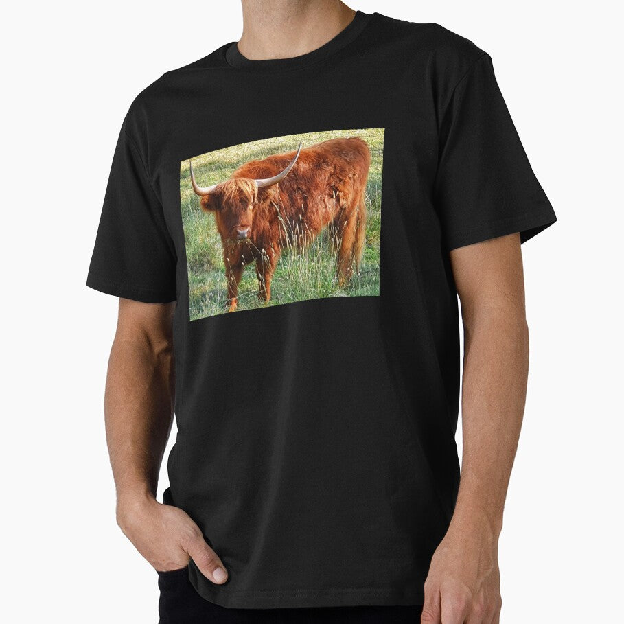 Don't have a highland cow by MumDi
