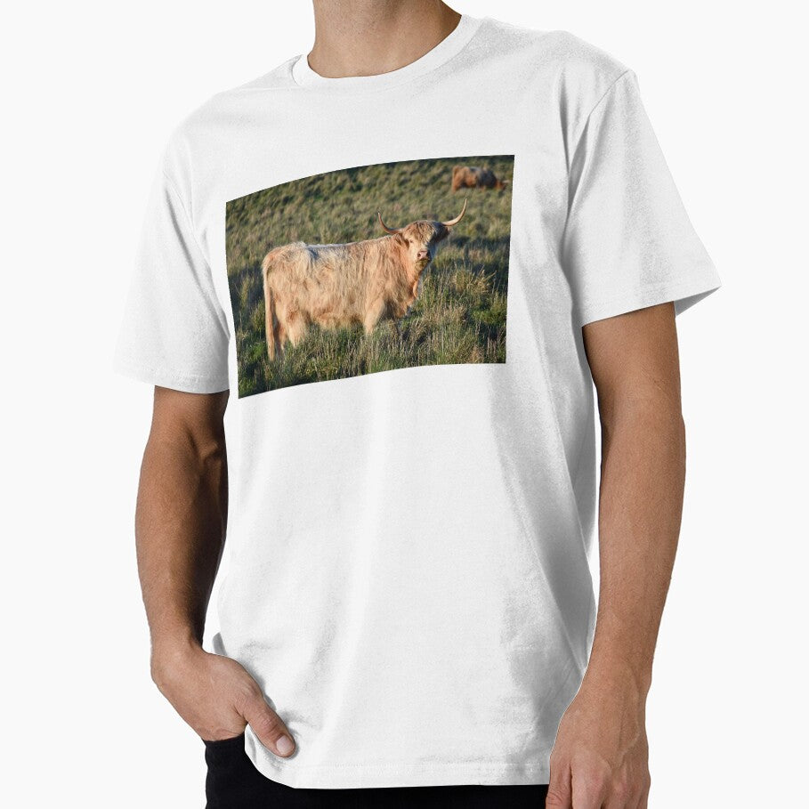 Highland Cow by Nicole_Munday_Photography